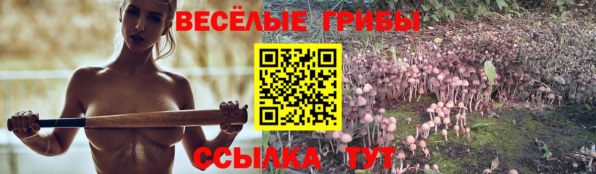 Псилоцибиновые грибы прущие грибы Вологда